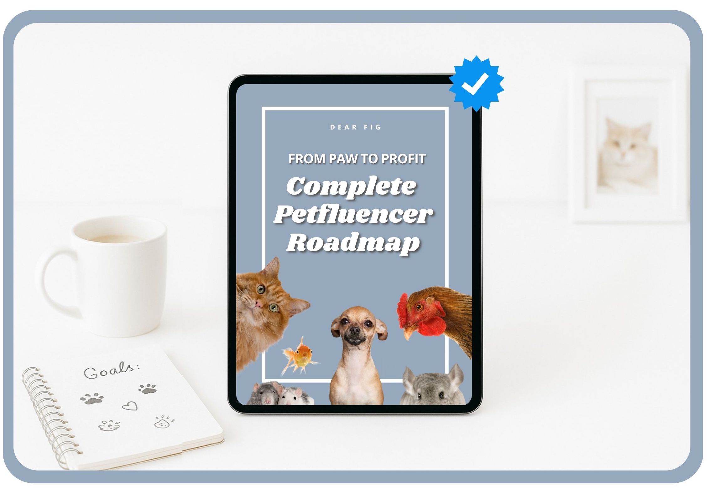 Your paragrah text - 6