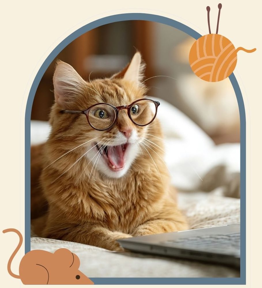 Website Designs - 29