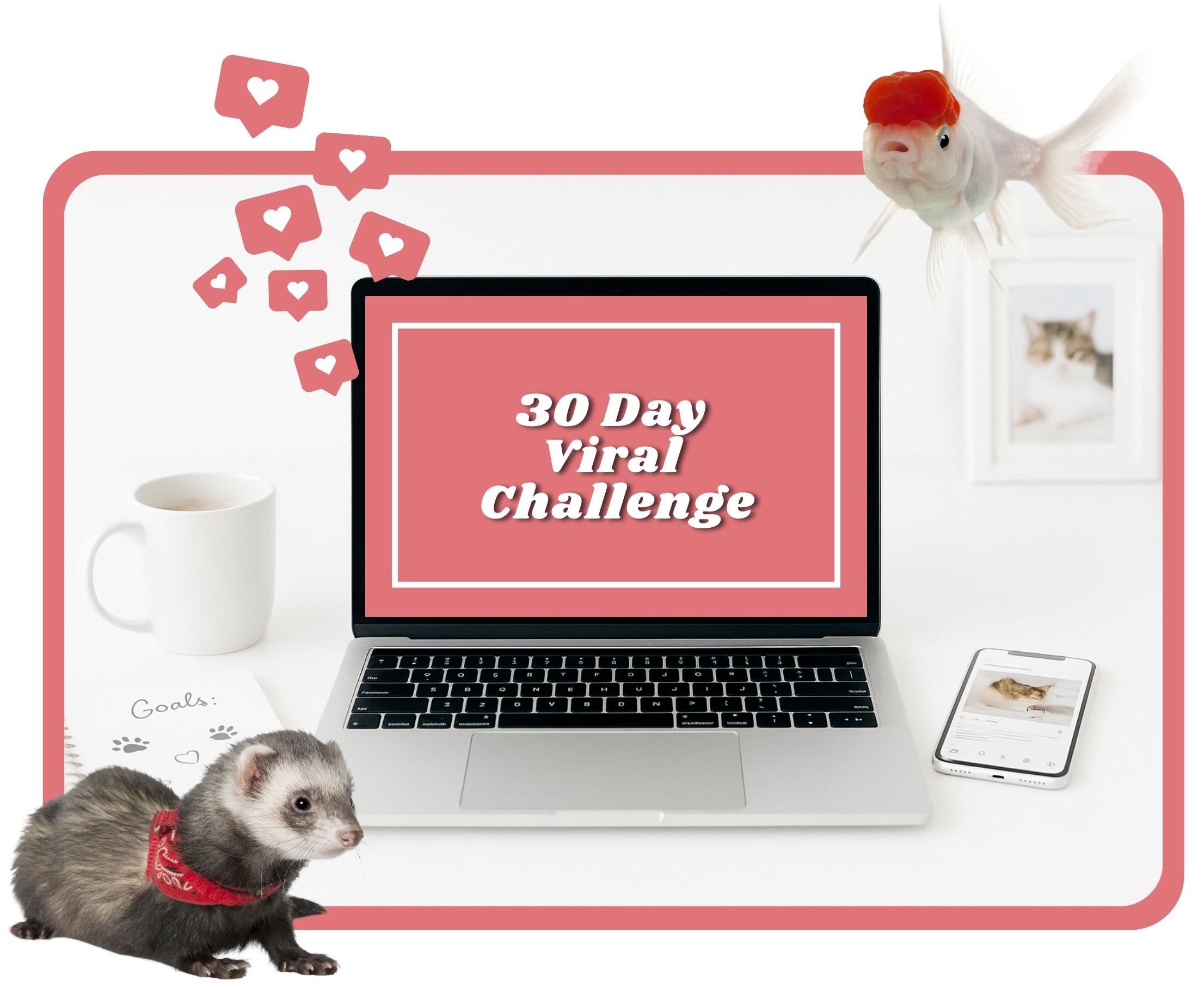 Your paragrah text - 3